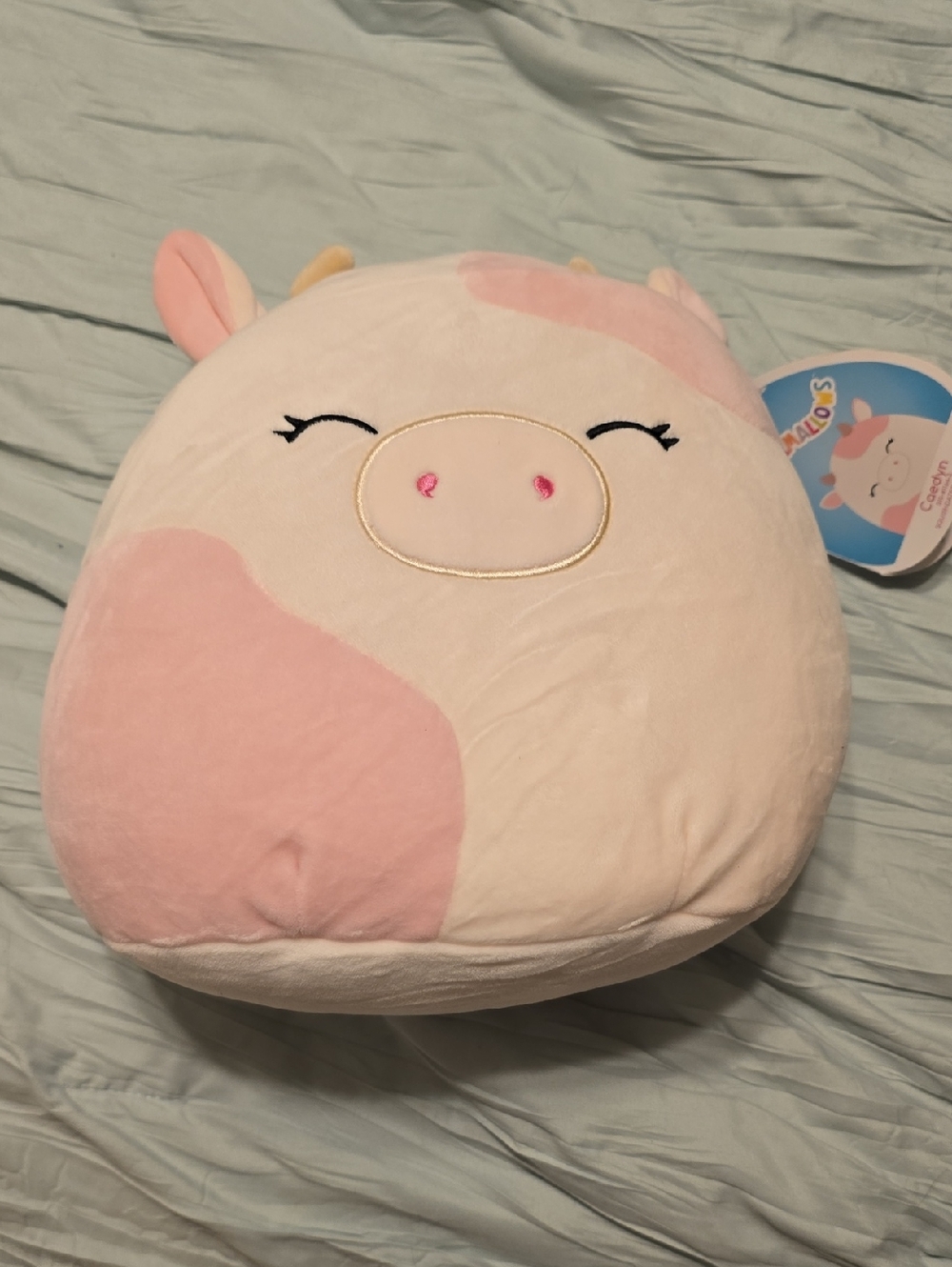 Caedyn Cow Squishmallow 10in